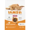Kattenvoer<IAMS Kat Adult Indoor Kip 10 kg