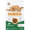 Kat Adult Lam 3 kg^IAMS Discount