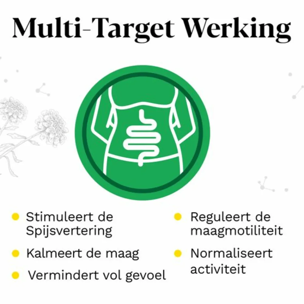 Maag & Darm<Iberogast Vloeibaar 50 ml