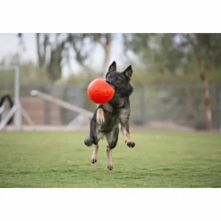 Soccer Ball Oceaan Blauw ø 20 cm^Jolly Pets Discount