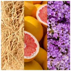 Clearance Jump Eau de Toilette 100 ml Voor Hem