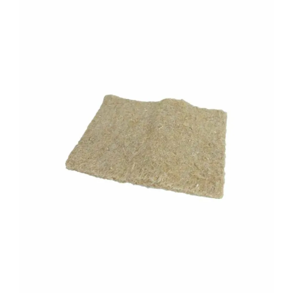 Snacks<JR Farm Knaagtapijt 53 x 36 x 3 cm 2 stuks