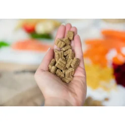 Zalm & Rijst Glutenvrij 4 kg^Kivo