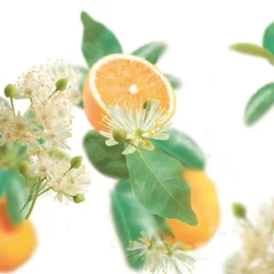 Bad & Douche<Kneipp Badolie Pure Harmony Sinaasappel - LindebloesemOntspan en kom tot rust met de ® Badolie Pure Harmony. Het hoge percentage etherische sinaasappelolie en lindebloesemextract in combinatie met de warme oranje kleur van het badwater werkt harmoniserend.Dermatologisch getestNiet parfumvrijPH NeutraalProefdiervrijVeganGeschikt voor alle huidtypen Gevarenaanduidingen Ontvlambaar Milieugevaarlijk Zeer licht ontvlambaar gas. Zeer licht ontvlambare aerosol. Zeer licht ontvlambare vloeistof en damp. Licht ontvlambare vloeistof en damp. Ontvlambare vaste stof. Ontvlambare aerosol. Ontvlambare vloeistof en damp. Zeer giftig voor in het water levende organismen. Zeer giftig voor in het water levende organismen, met langdurige gevolgen. Giftig voor in het water levende organismen, met langdurige gevolgen. Aanvullende informatie Hoe te gebruiken?Schroefdopje 1 keer vullen en badolie toevoegen aan het water (36-38ºC). Duur van het bad: 15-20 min. Dopje omspoelen.Ingrediënten:Polysorbate 20, Aqua (Water), Limonene, Linalool, Citrus Aurantium Dulcis (Orange) Peel Oil, Citrus Aurantium Amara (Bitter Orange) Leaf/Twig Oil, Parfum (Fragrance), Tilia Cordata Flower Extract, Geraniol, Citral, Citronellol, Benzyl Salicylate, Eugenol, Caprylic/Capric Triglyceride, Tocopherol, CI 15985. Ingrediënten Polysorbate 20, Aqua (Water), Limonene, Citrus Aurantium Amara (Bitter Orange) Oil, Parfum (Fragrance), Linalool, Citrus Aurantium Dulcis (Orange) Oil, Tilia Cordata Flower Extract, Citronellol, Benzyl Benzoate, Geraniol, Farnesol, Eugenol, Citral, Tocopherol, CI 15985. Bevat geen:conserveringsmiddelen Fabrikant informatie Merk: Ean: 4008233032870 Artikel: 1000-784 Fabrikant gegevens: Adres: Vliegend Hertlaan 49 3526 KT Utrecht Nederland Contactgegevens: Tel: 030 281 3300 Email: [email protected] Website: https://www..com Reviews Schrijf jouw review Hoe controleren en plaatsen wij reviews? Plein plaatst enkel reviews van klanten en personen die het product daadwerkelijk gebruikt hebben, ook wanneer deze negatief of neutraal is. Voordat de review geplaatst wordt controleren we handmatig of deze écht is en voldoet aan onze reviewvoorwaarden. Wanneer het product op Plein gekocht is vermelden we dat bij de review. Plein betaalt niet voor reviews, wanneer een reviewer door een andere partij is vergoed staat dit erbij vermeld. Door Elien op 1 september 2022 | Heeft dit product gekocht Deze review is geschreven bij product Badolie Soft Skin Amandelbloesem 100 ml Verrukkelijke badolie met heerlijke geur en lekkere olie geen Super lekkere badolie Oorspronkelijk geplaatst op plein.nl Door Lydia Maria op 13 mei 2020 | Heeft dit product gekocht Deze review is geschreven bij product Badolie New Energy Rozemarijn 100 ml Zalig badmoment met deze olie Lekker genieten Heerlijke geur Super zacht en voedend voor de huid Mag ietsje beterkoop daar je in verhouding meer verbruikt dan badcreme of badschuim Heerlijk relaxen en tegelijk je huid laten verwennen met deze badolie van Oorspronkelijk geplaatst op plein.nl Door Morvenna op 17 december 2014 | Heeft dit product gekocht Deze review is geschreven bij product Badolie Relaxing Lavendel 100 ml Lekkere badolie, vooral in de winter als het koud is, kan je heerlijk ontspannen. Al een paar jaar mijn favoriet. Oorspronkelijk geplaatst op plein.nl Door Els op 11 december 2014 | Heeft dit product gekocht Deze review is geschreven bij product Badolie Refreshing Eucalyptus 100 ml Heerlijk na een week drukte Frisse geur Lichaam en geest komen tot rust erg lekkere badolie. Als ik het een weekje druk gehad heb kan ik altijd heerlijk relaxen door de frisse geur. Echt een aanrader Oorspronkelijk geplaatst op plein.nl Bekijk alle reviews 6x Badolie Pure Harmony Sinaasappel - Lindebloesem 100 ml