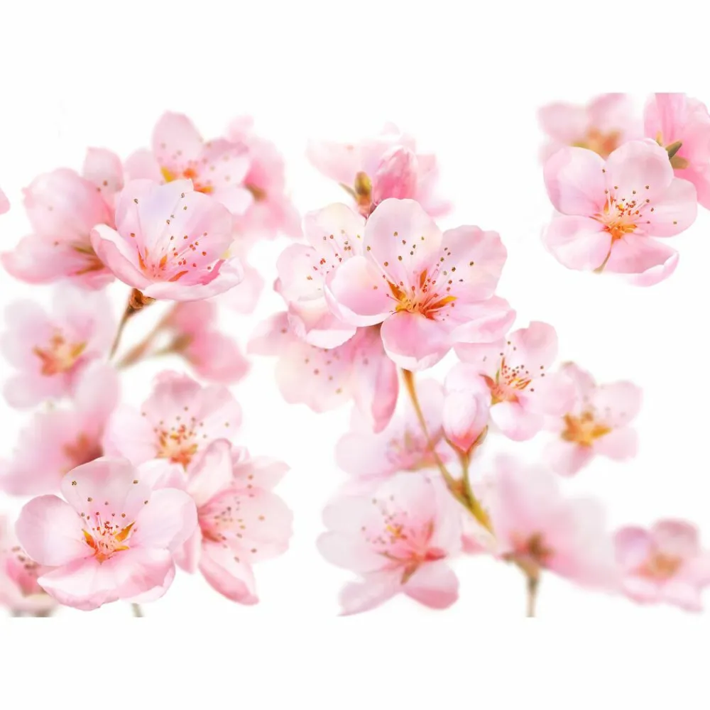 Bodymilk Sensitive Amandelbloesem 200 ml^Kneipp Hot