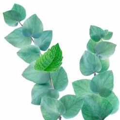 Best Douche Scrub Refreshing Mint en Eucalyptus 200 ml Bad & Douche