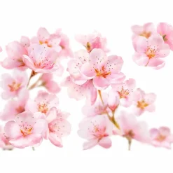 Bad & Douche<Kneipp Soft Skin Sugar Body Scrub Amandel 220 gr