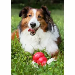 Classic Rood L^Kong New