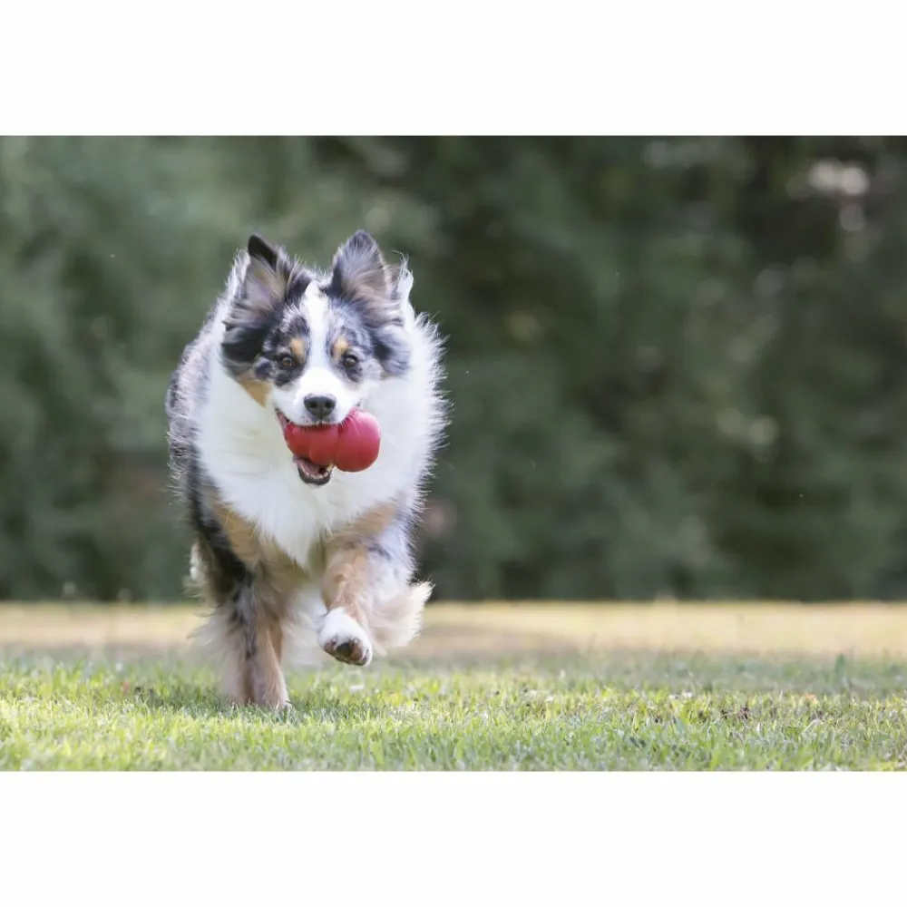 New Classic Rood S Speelgoed