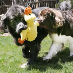 Comfort Jumbo Eend XL^Kong Discount