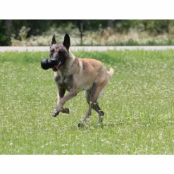 Speelgoed<Kong Extreme Zwart L