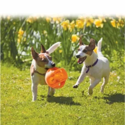 Clearance Jumbler Ball L - XL Speelgoed