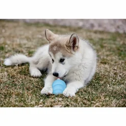 Speelgoed<Kong Puppy L