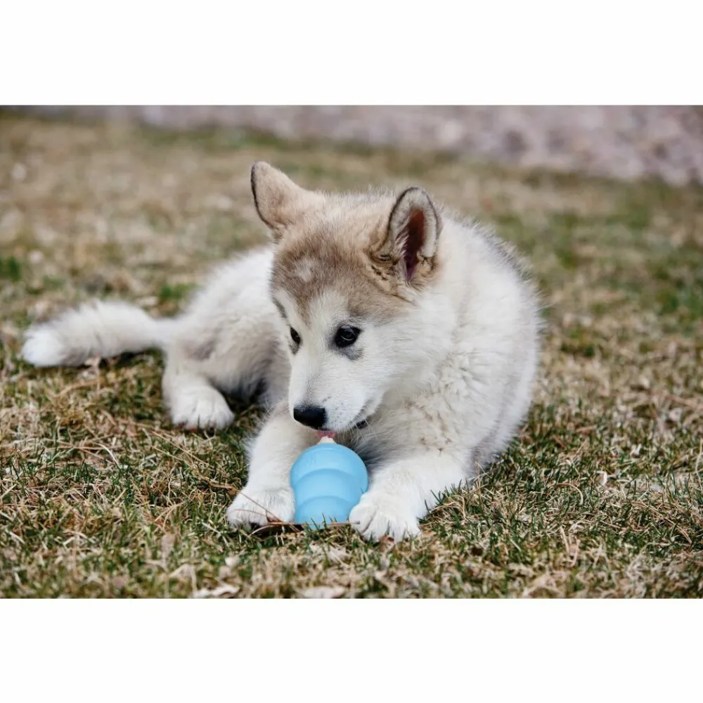 Speelgoed<Kong Puppy L