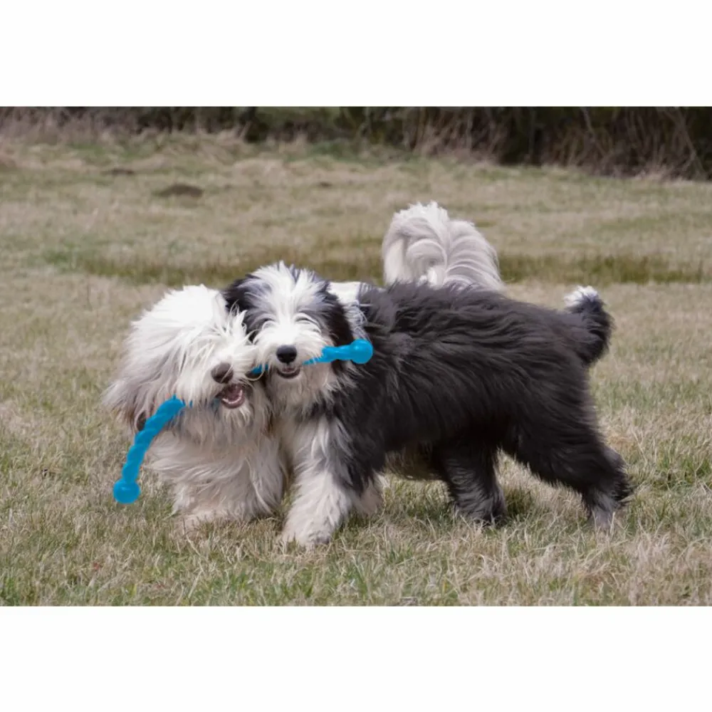 Speelgoed<Kong Safestix S