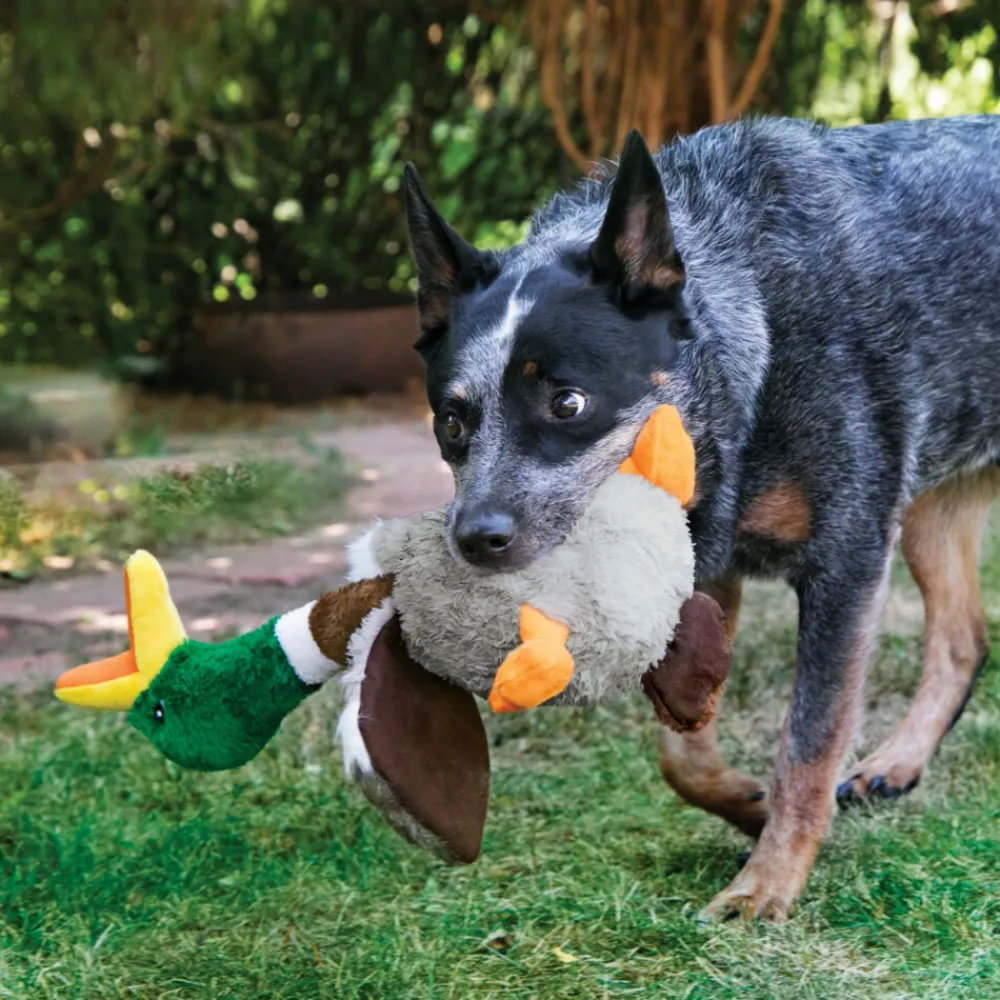 Speelgoed<Kong Shakers Honkers Eend S