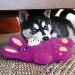 Snuzzles Koala M^Kong New