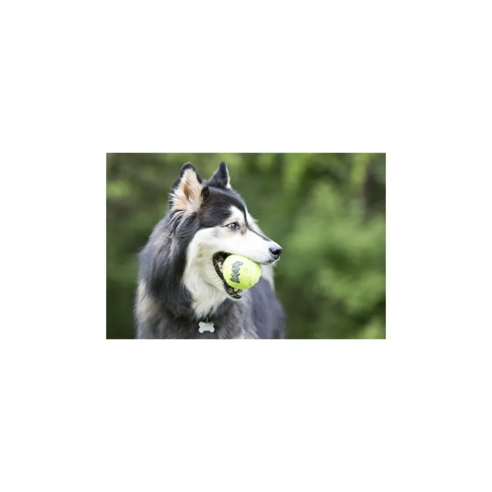 Speelgoed<Kong Squeakair Tennisbal Multipack L 2 stuks