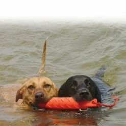 Training Dummy XL^Kong Online