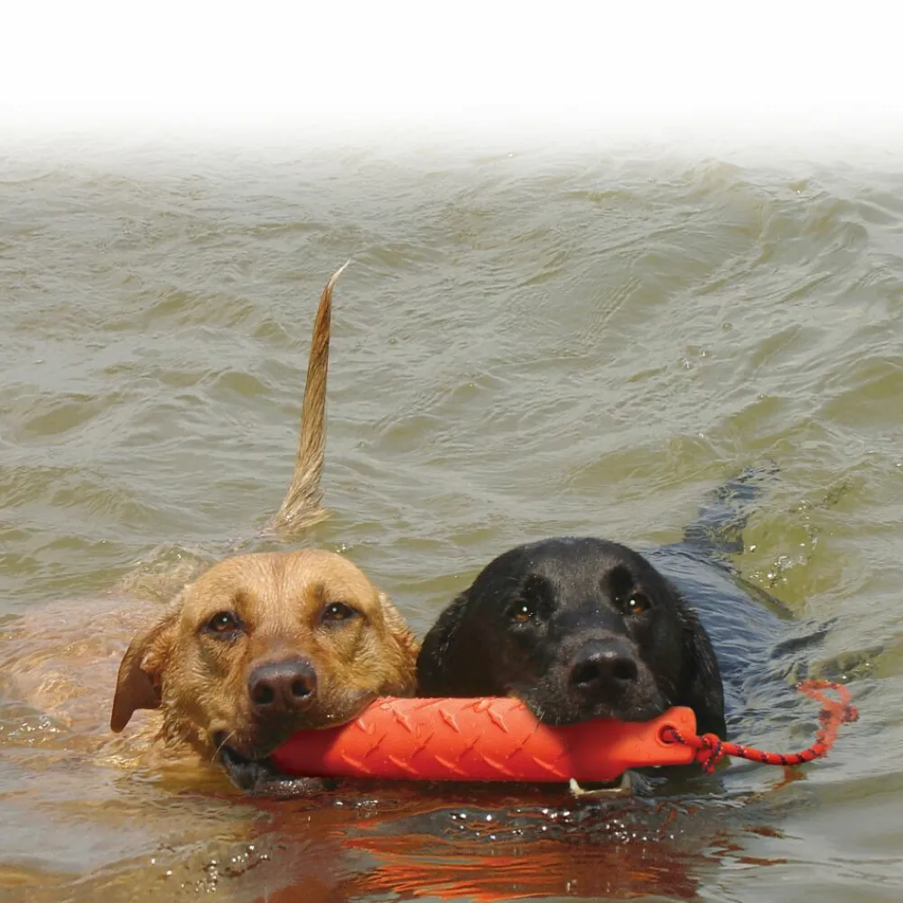 Training Dummy XL^Kong Online