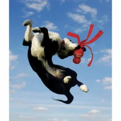 Speelgoed<Kong Wubba S