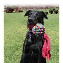 Speelgoed<Kong Wubba Weaves L