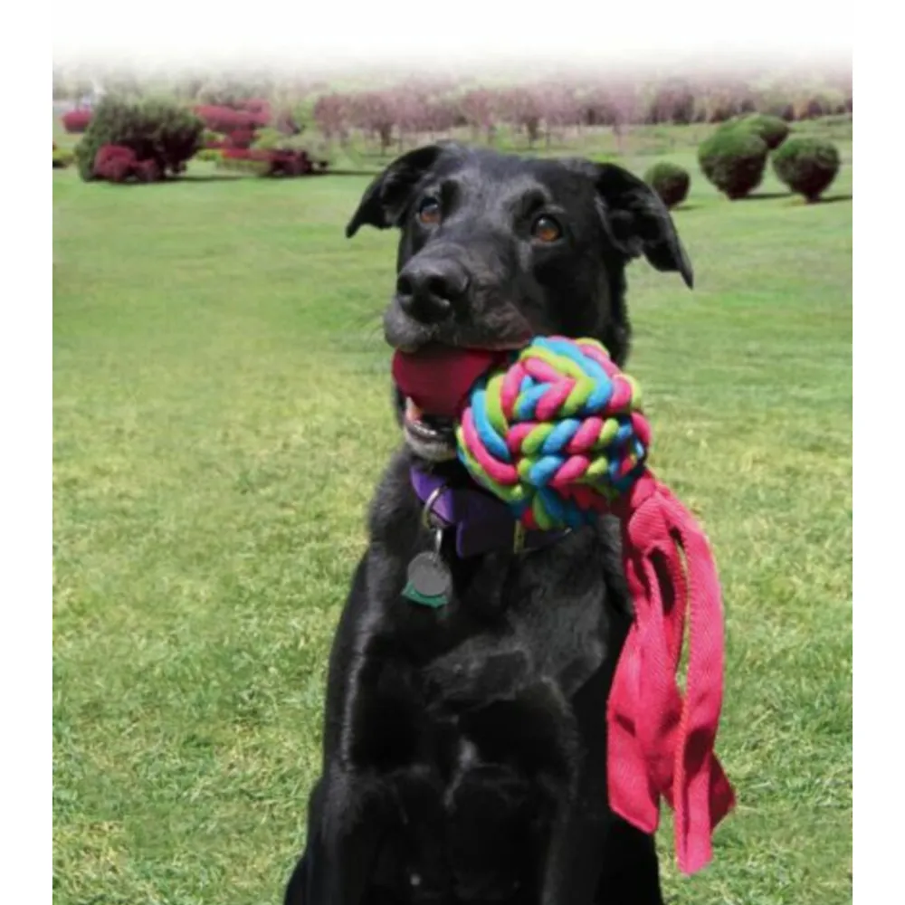 Speelgoed<Kong Wubba Weaves L