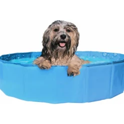 New Cool Pool Zwembad Bubble XL 160 x 30 cm Speelgoed