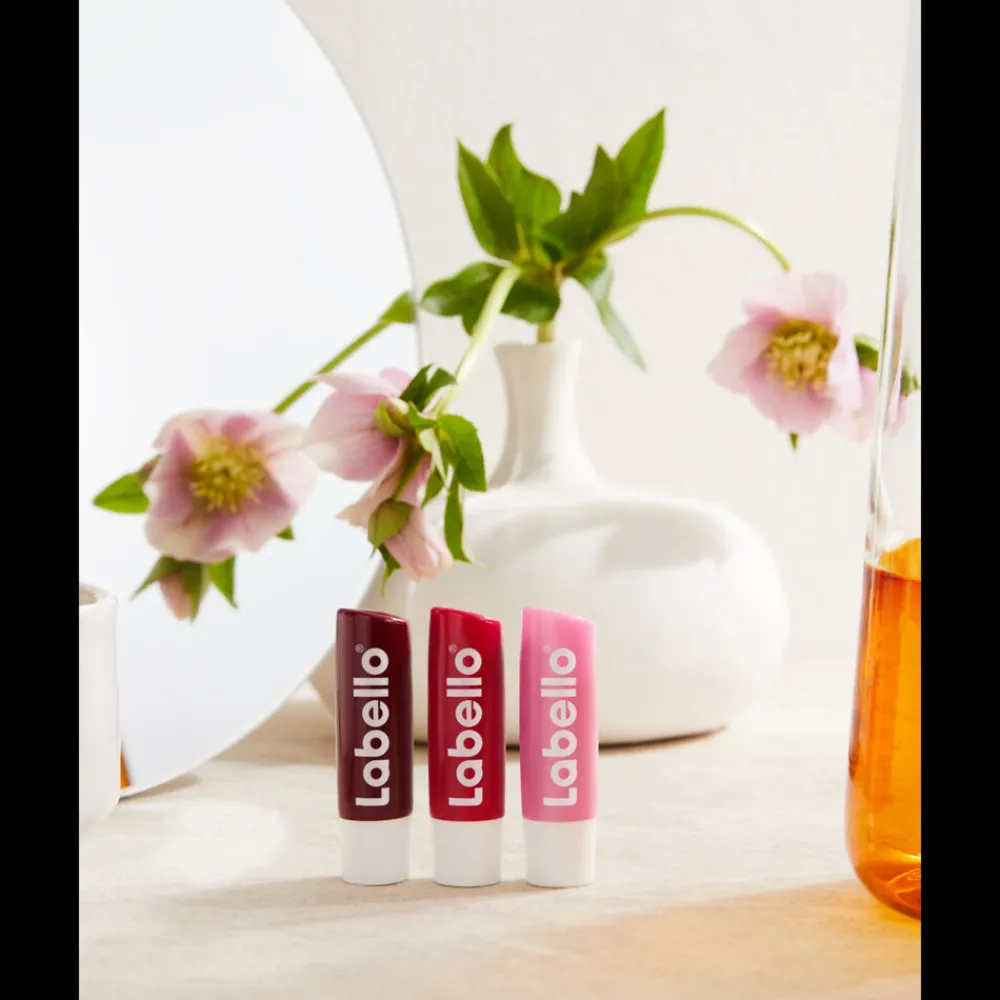 Lipverzorging<Labello Lippenbalsem Blister Soft Rose 4,8 gr