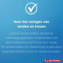 Flossen & Ragen<Lactona Intersticks Tandenstokers 100 stuks