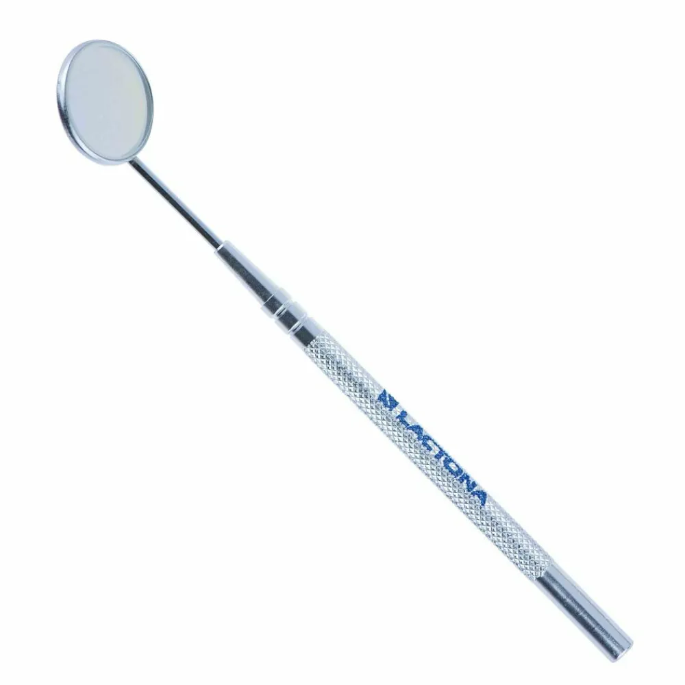 Specialistische Mondverzorging<Lactona Mondspiegel