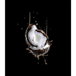 Best L'Oréal Elvive Extraordinary Oil Haarmasker Kokos 300 ml Haarmasker