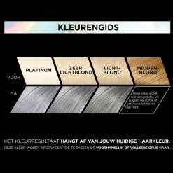 L'Oréal Preference Vivids Permanente Haarkleuring 10.112 Silver Grey^LOréal Hot