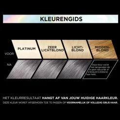 Online L'Oréal Preference Vivids Permanente Haarkleuring 9.112 Smokey Grey Haarkleuring