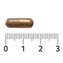 Hot Astaxanthine 4 mg 30 capsules Speciale Bestanddelen