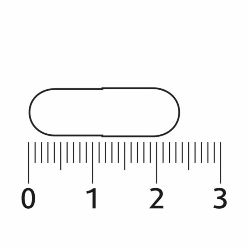 Lion's Mane 90 capsules^Lucovitaal Sale