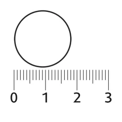 Best L-Lysine 1000 mg 90 kauwtabletten Weerstand & Energie|Speciale Bestanddelen