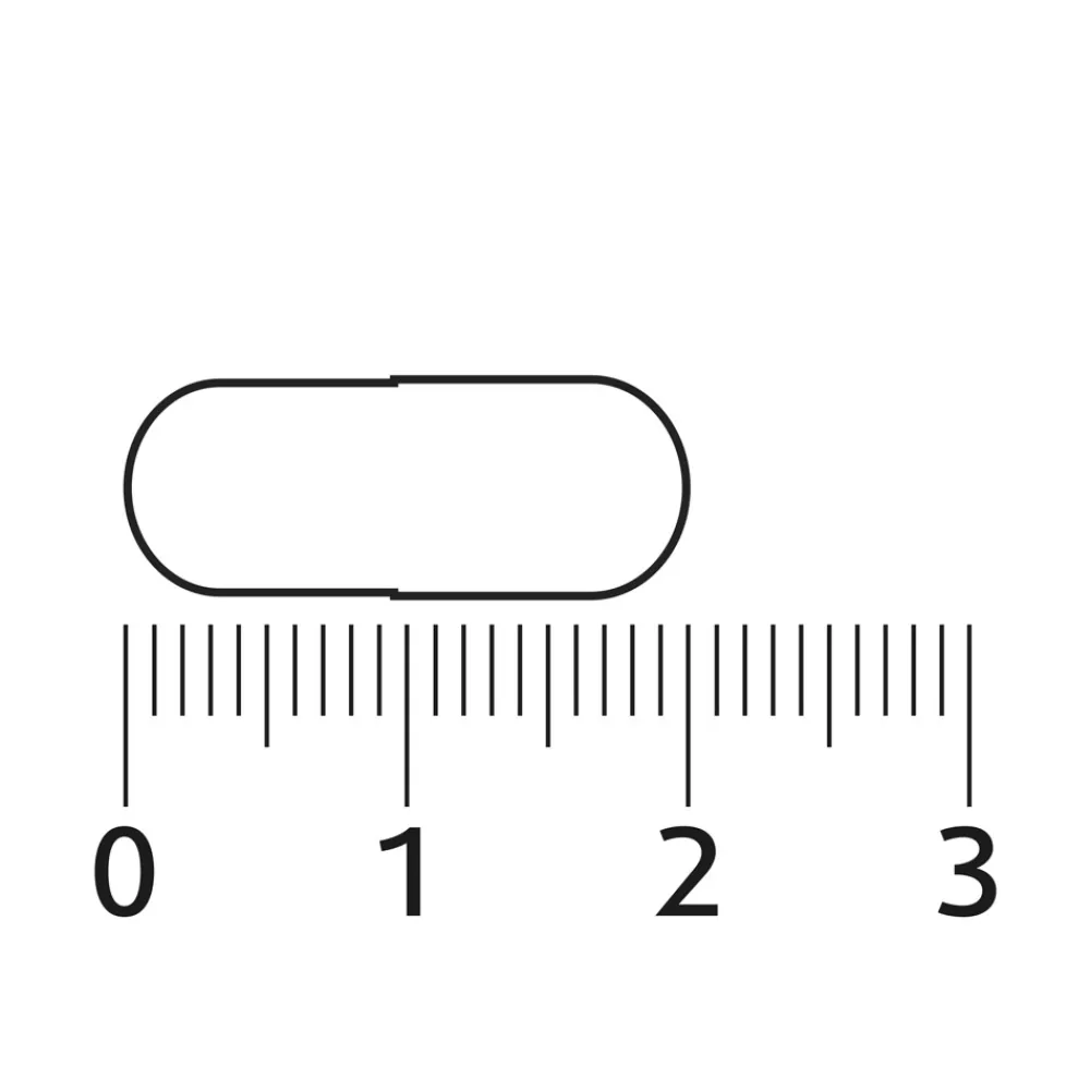 Outlet L-theanine Omega 3 90 capsules Rustgevend & Slapen