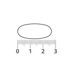 Speciale Bestanddelen<Lucovitaal Visolie Super Omega 3 Maxi XXL 210 capsules