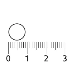 Sale Vitamine C 80mcg Kauwtablet Citroen 800 tabletten Vitaminen