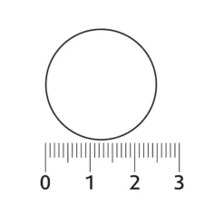 Discount Vitamine C 1000mg 20 bruistabletten Vitaminen
