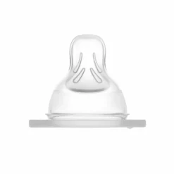 Clearance Flesspeen Maat 1 0+ mnd 2 stuks Flessen & Spenen