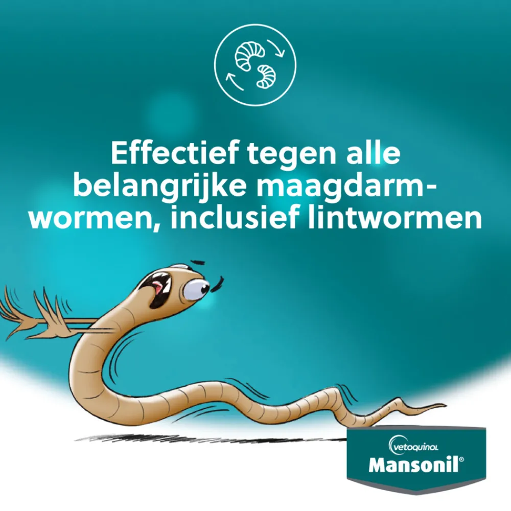 All Worm Ontworming Tabletten Hond vanaf 2,5 kg 6 stuks^Mansonil Best