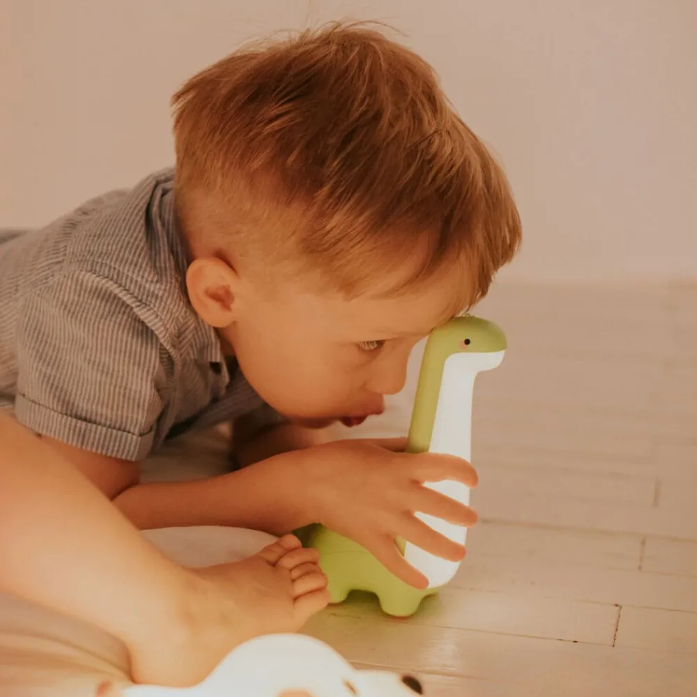 Mary's Nachtlamp Dinosaurus^Marys Hot