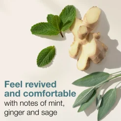 Simply Man Eau de Toilette Spray 30 ml^Mexx Clearance