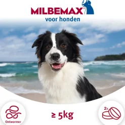 Ontworming Tabletten Hond 5 - 75 kg 2 tabletten^Milbemax Online