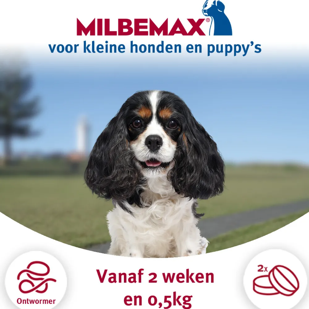 New Ontworming Tabletten Hond 0,5 - 10 kg 2 tabletten Vlo, Teek & Worm