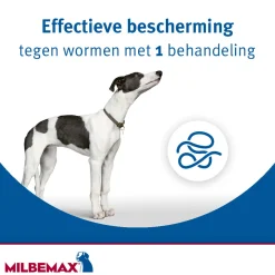 New Ontworming Tabletten Hond 0,5 - 10 kg 2 tabletten Vlo, Teek & Worm