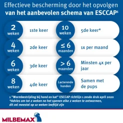 New Ontworming Tabletten Hond 0,5 - 10 kg 2 tabletten Vlo, Teek & Worm