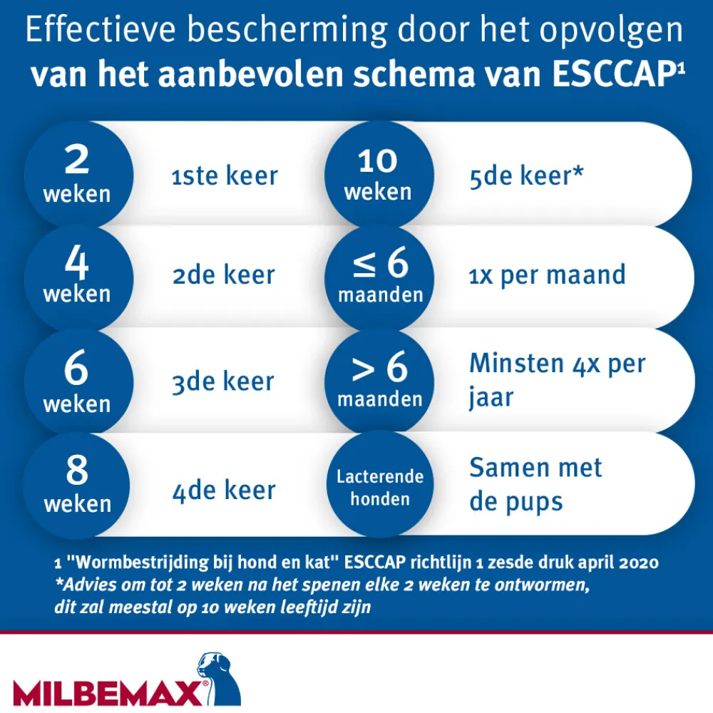 New Ontworming Tabletten Hond 0,5 - 10 kg 2 tabletten Vlo, Teek & Worm